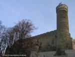 Toompea Castle