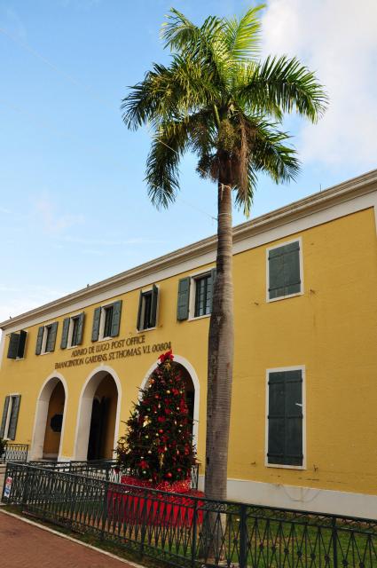 Christmas Tree and Palm Tree