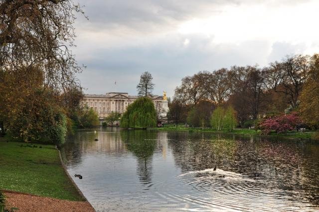 Buckingham Palace from St.  James Park