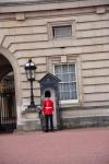 Guard at Buckingham