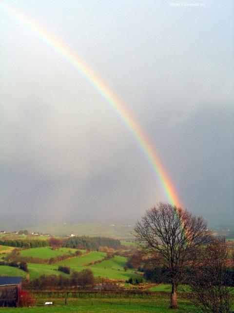 Rainbow in Manderfeld