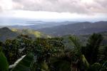 El Yunque: Rain forest
