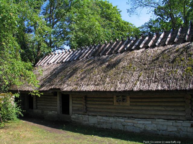 274_7477.JPG