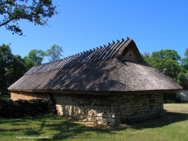 274_7479.JPG