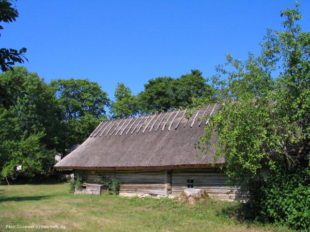274_7482.JPG