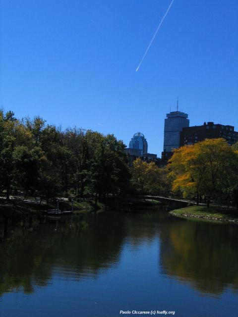 287_8742.JPG