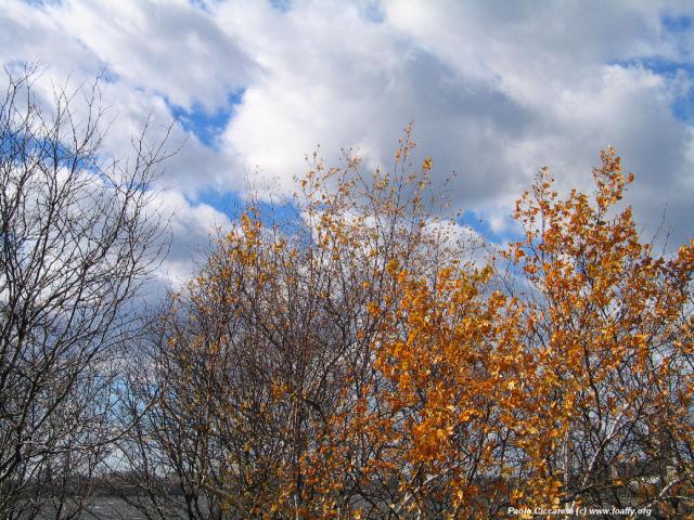 289_8936.JPG