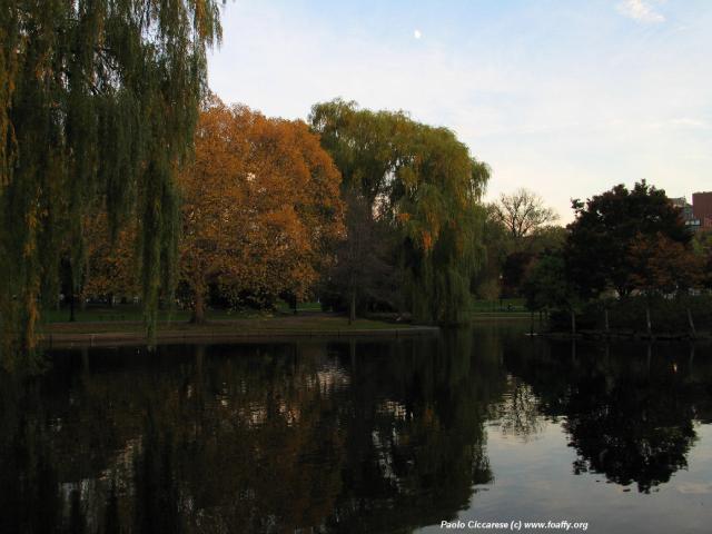 290_9073.JPG