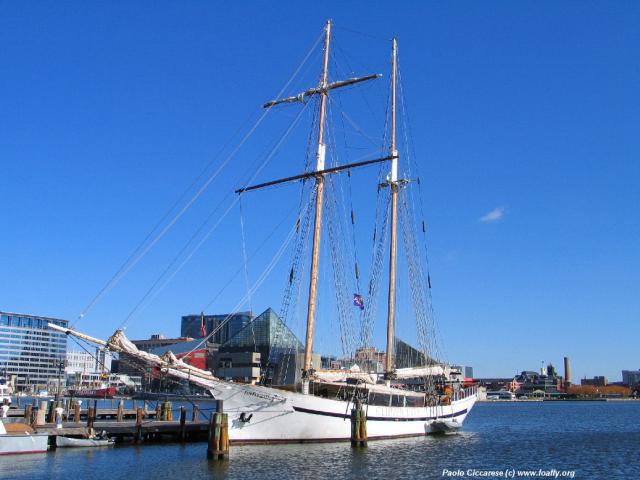 293_9356.JPG