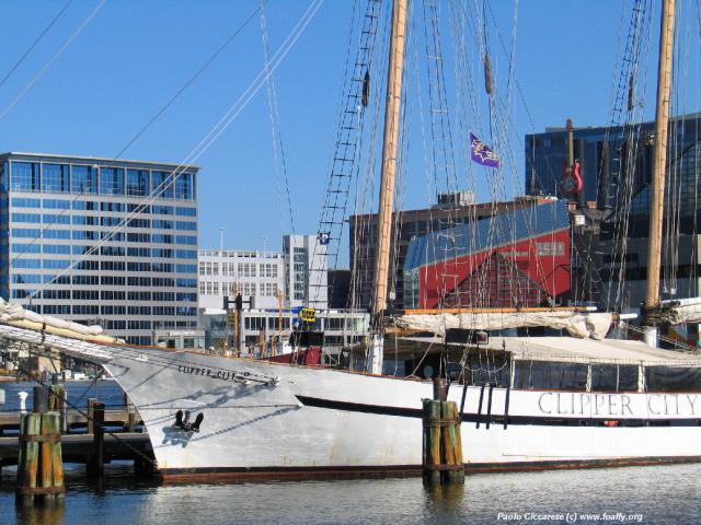 293_9363.JPG