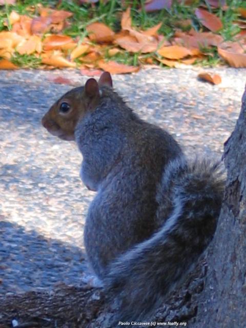292_9271.JPG