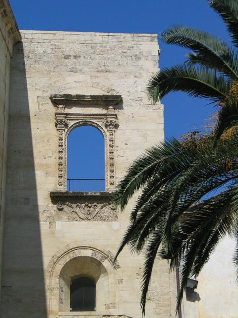 1555526.JPG