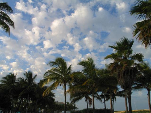 IMG_1590.jpg