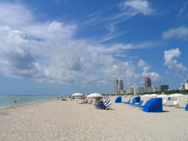 IMG_1951.jpg