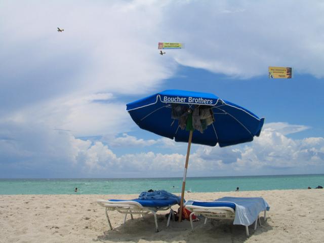 IMG_2229.jpg