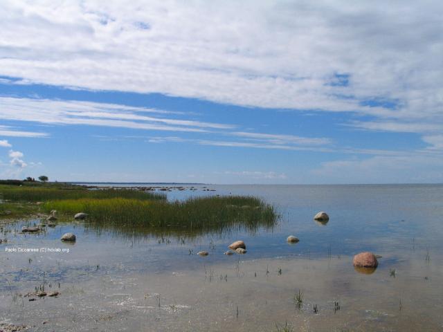 272_7227.JPG