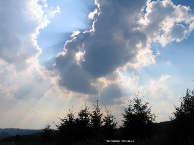 269_6930.JPG